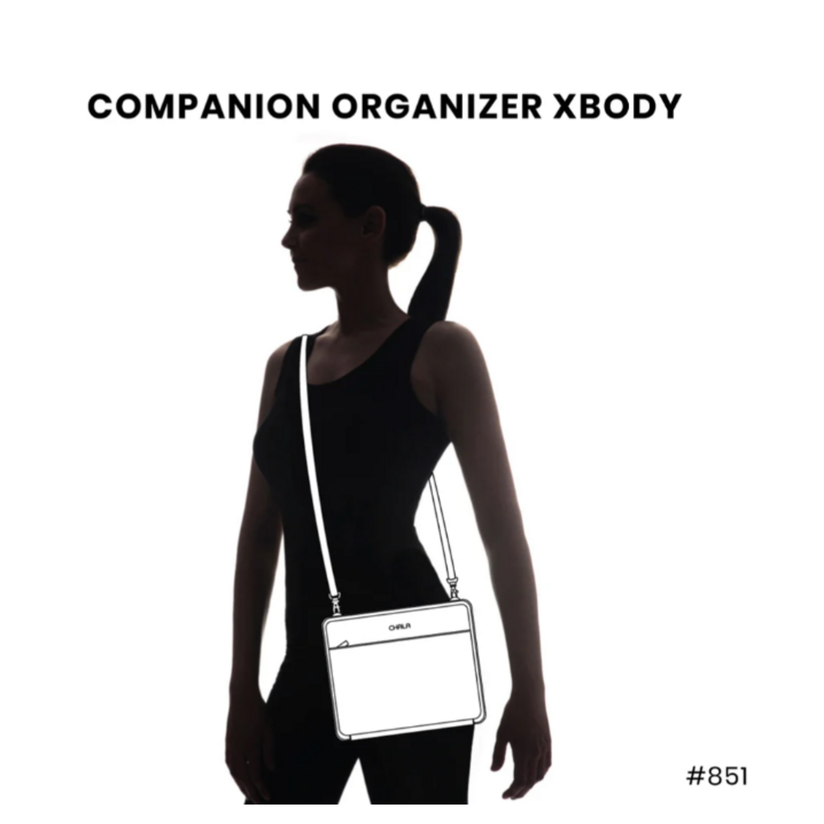 Chala Chala 851 Companion Organizer Crossbody Butterfly Gray