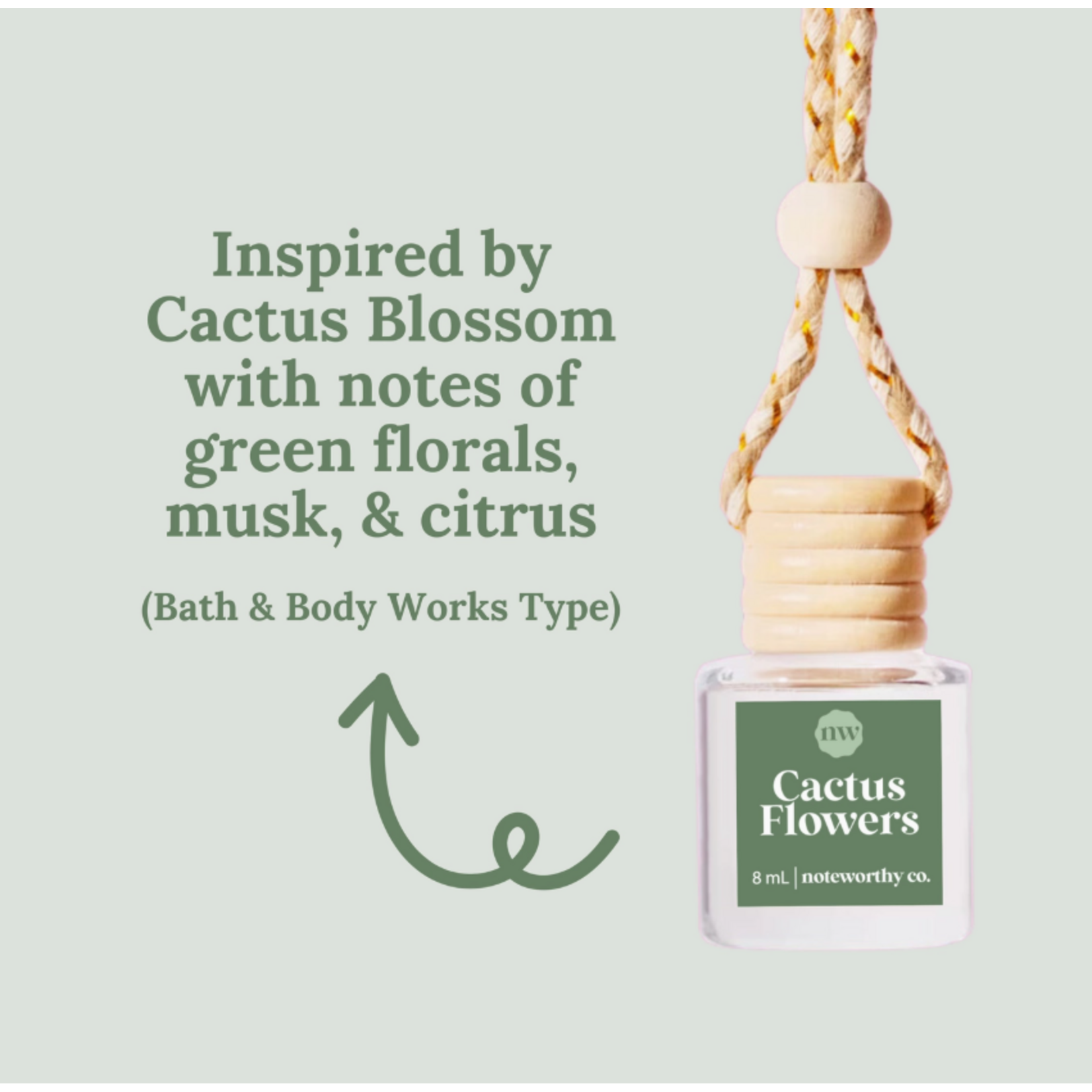 Noteworthy Co. Noteworthy Co. Car Diffuser Cactus Flowers