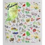 Swedish Treasures Wet It! Swedish Dishcloth Indiana