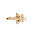 Charm Collective Charm Collective Charm Star