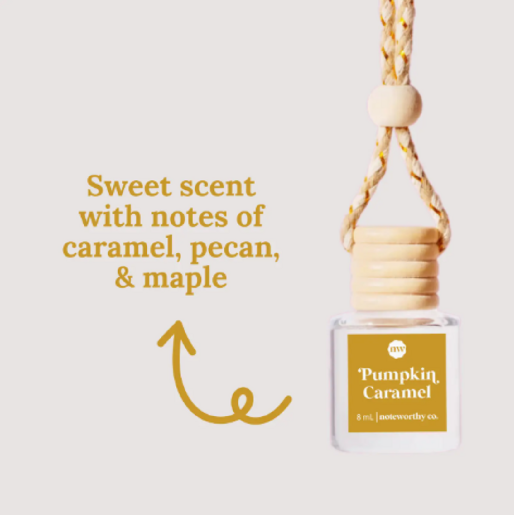 Noteworthy Co. Noteworthy Co. Car Diffuser Pumpkin Caramel