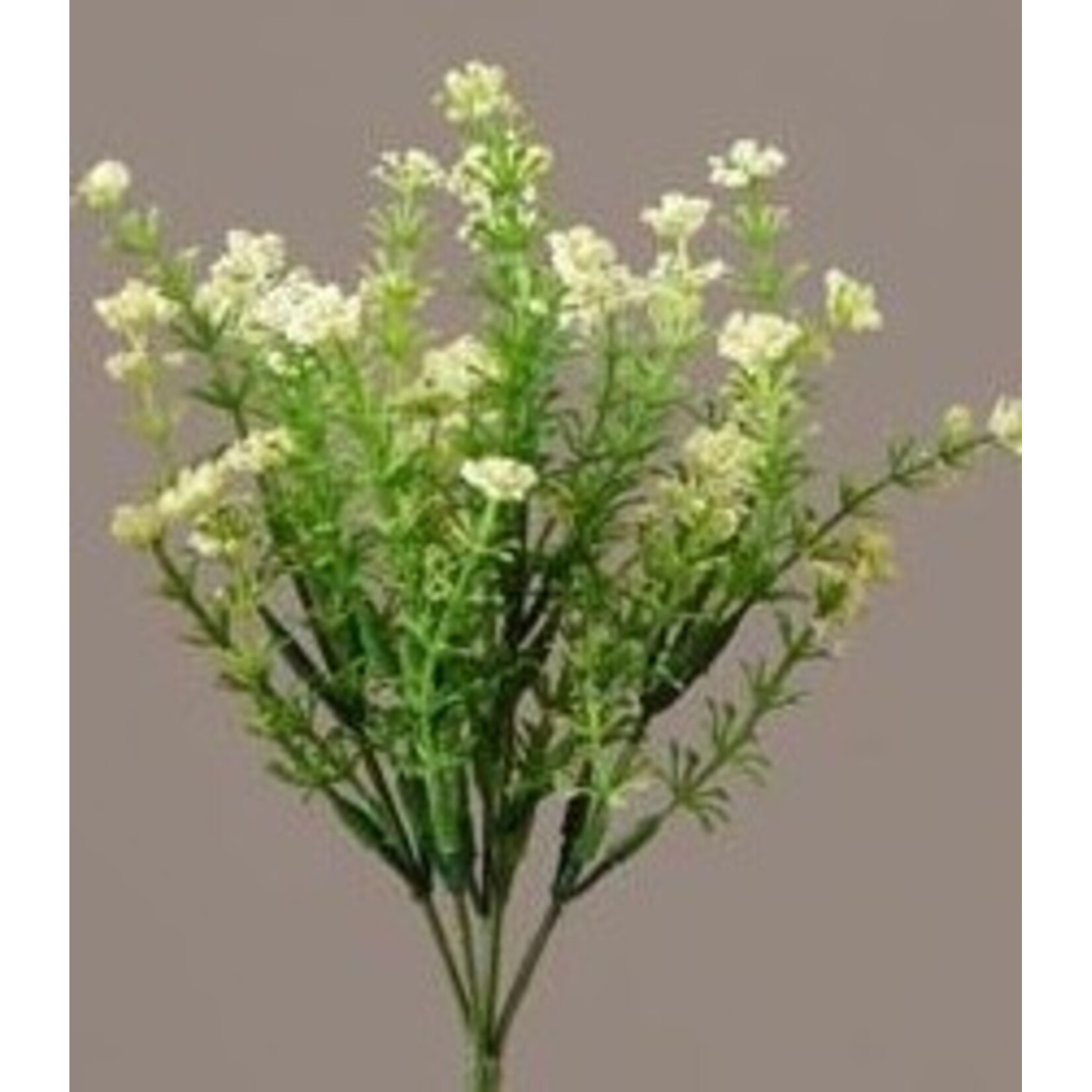 Audrey’s Floral Pick White