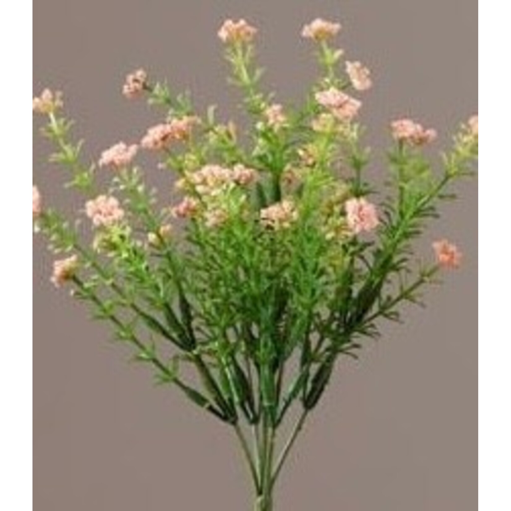 Audrey’s Floral Pick Pink