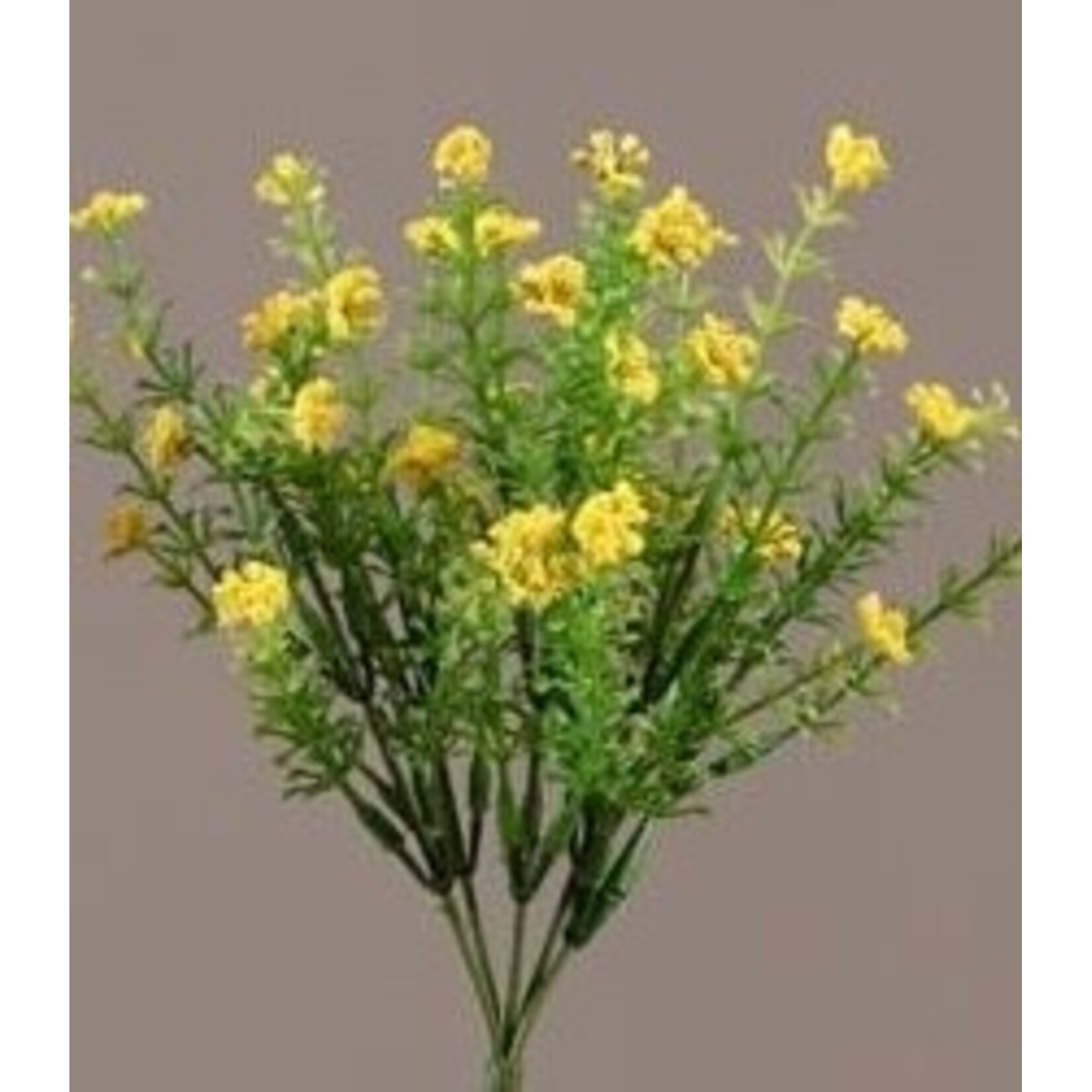 Audrey’s Floral Pick Yellow