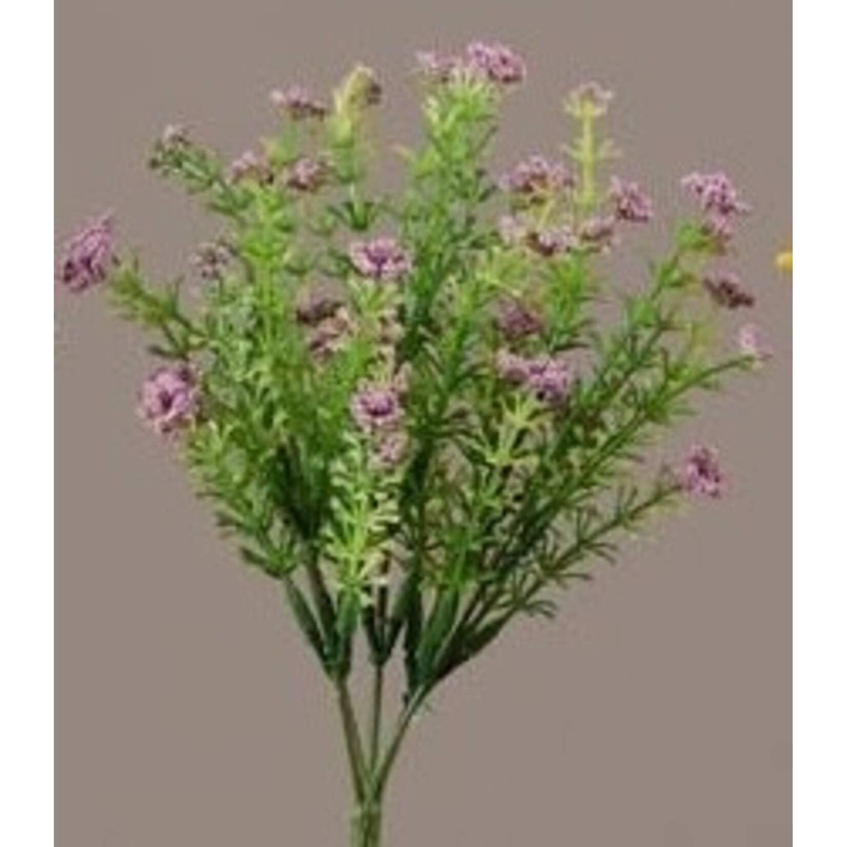 Audrey’s Floral Pick Purple