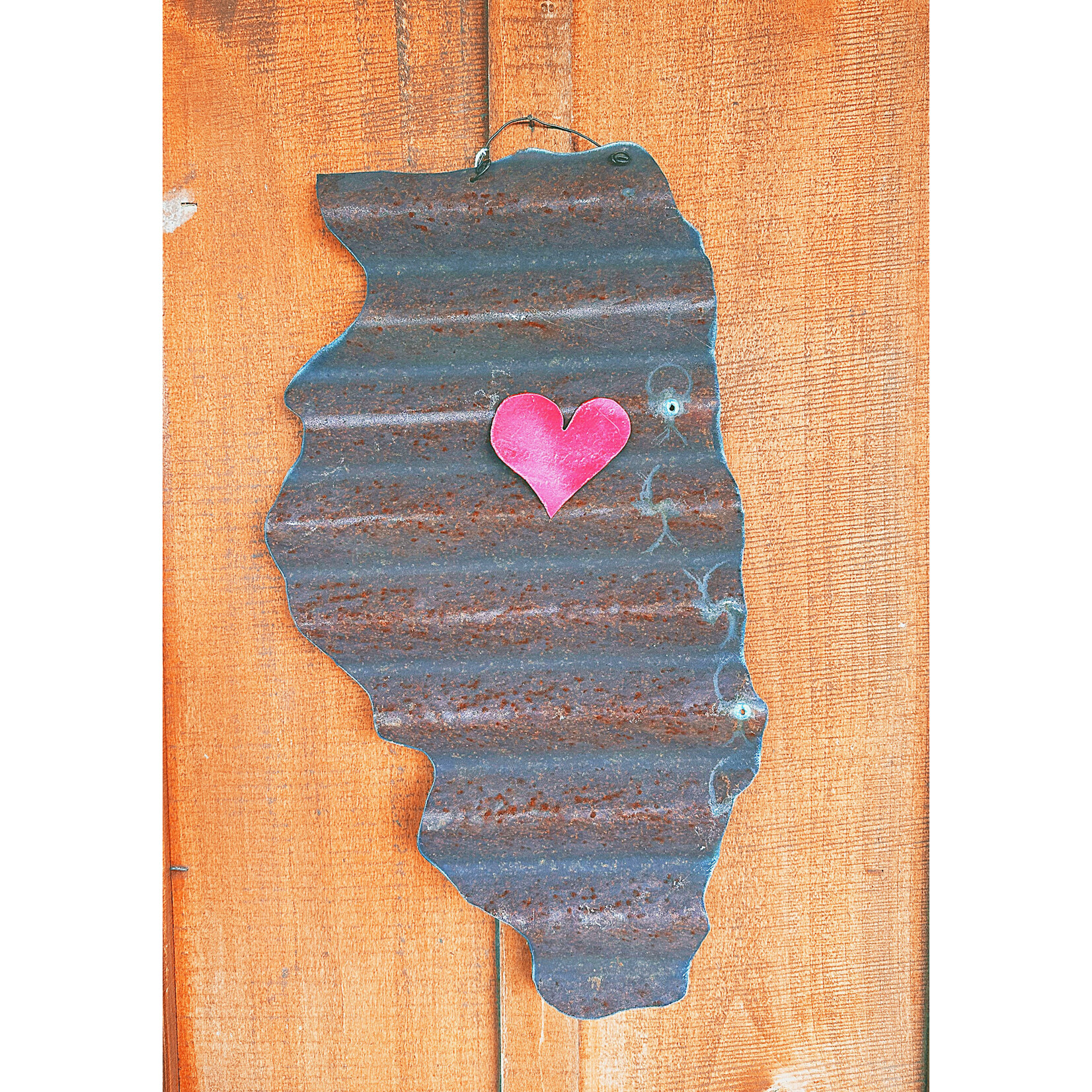 AGP Corrugated Metal State Decor Illinois