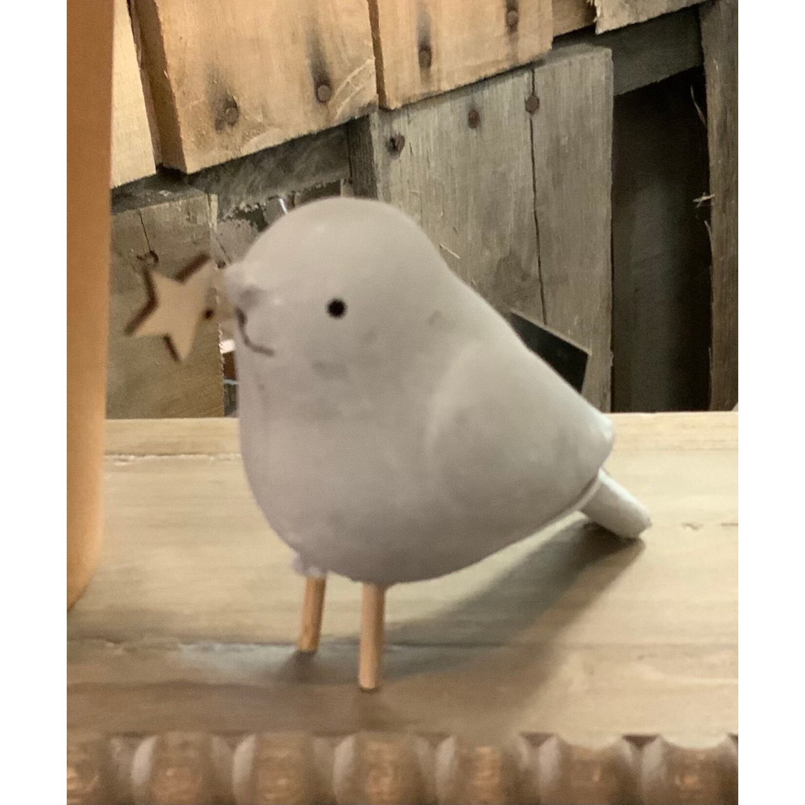Creative Co-op Concrete Bird Sitter