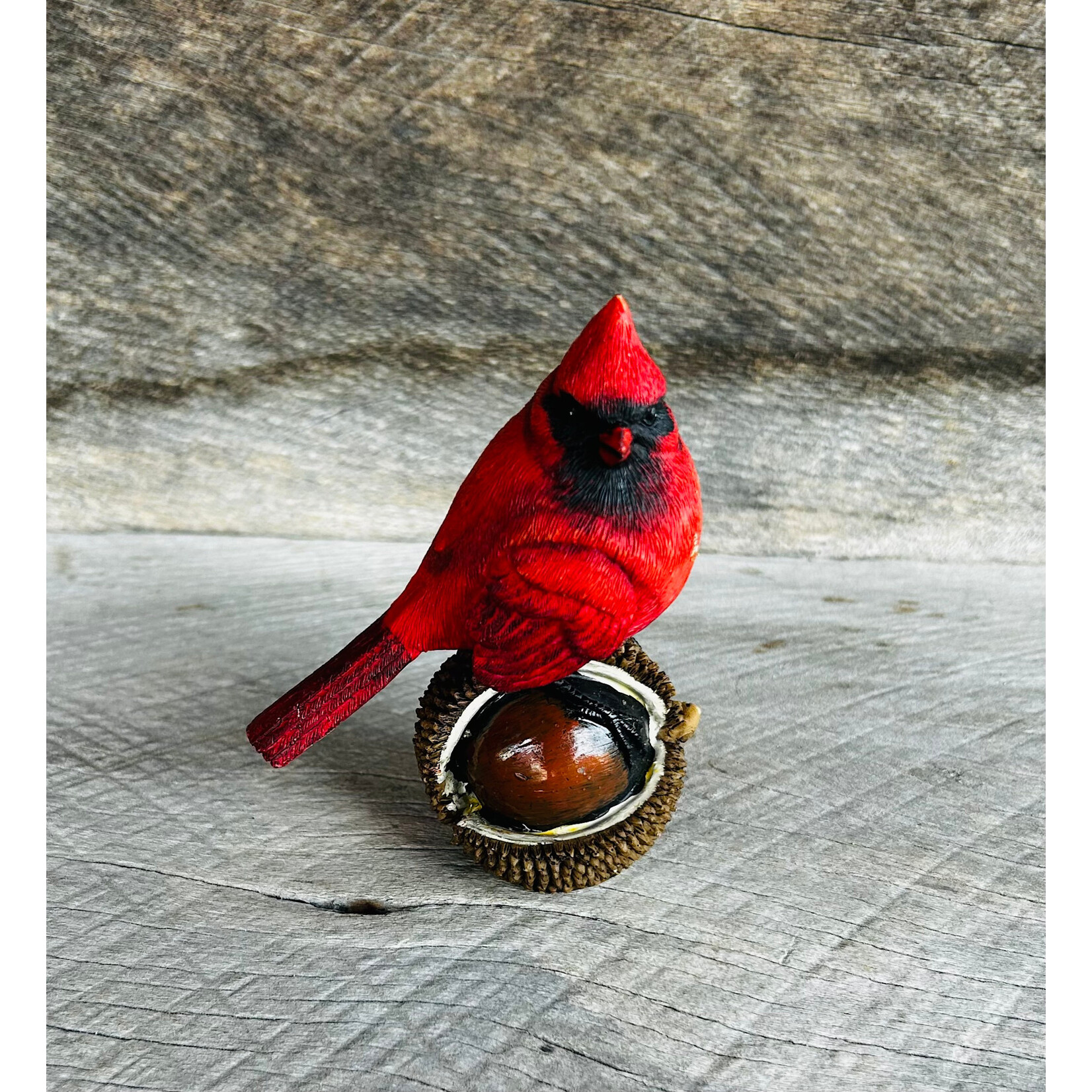 AGP Cardinal Sitter