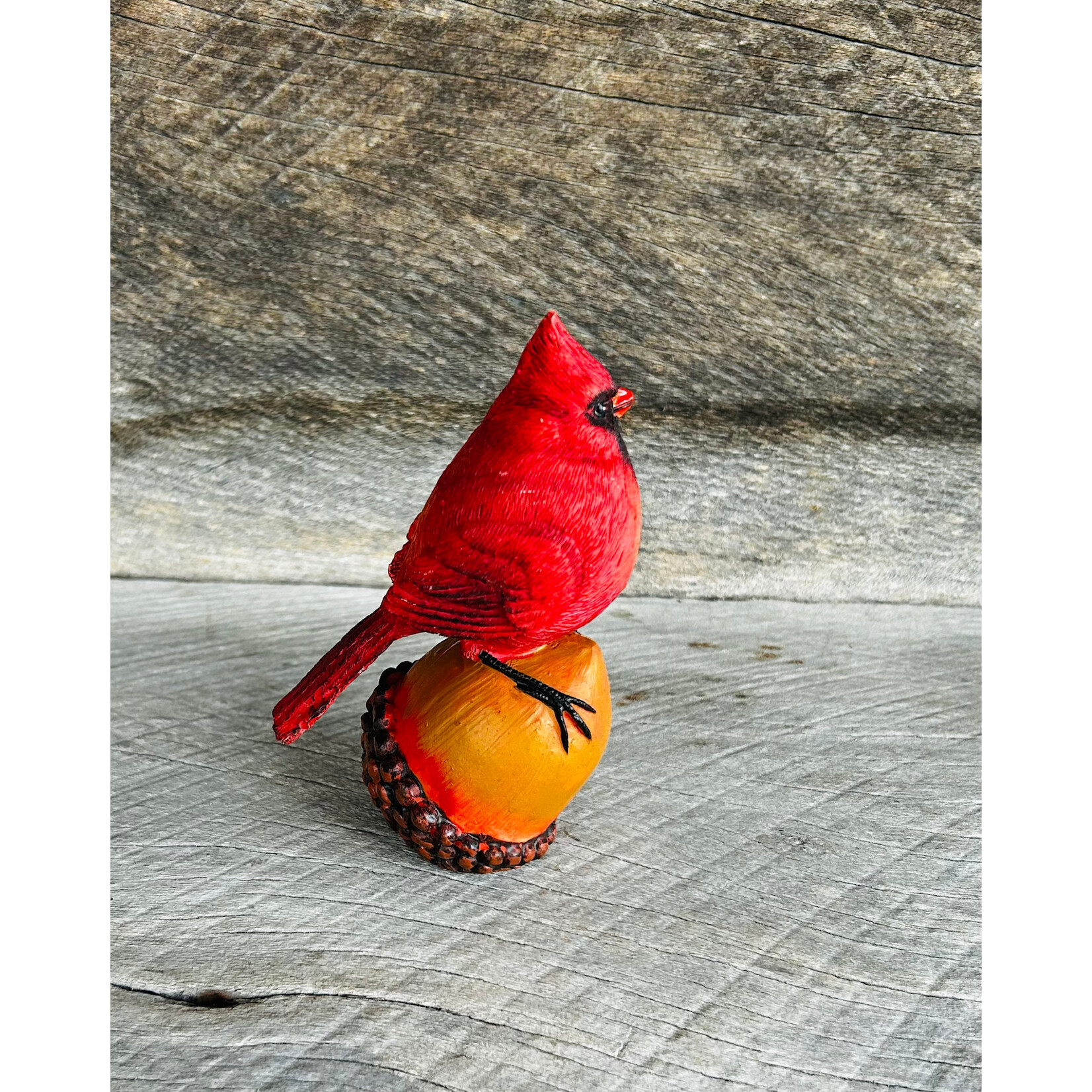 AGP Cardinal Sitter