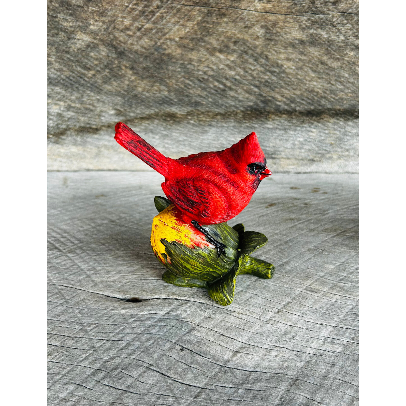 AGP Cardinal Sitter