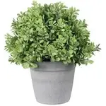 Youngs Artificial Potted Plant
