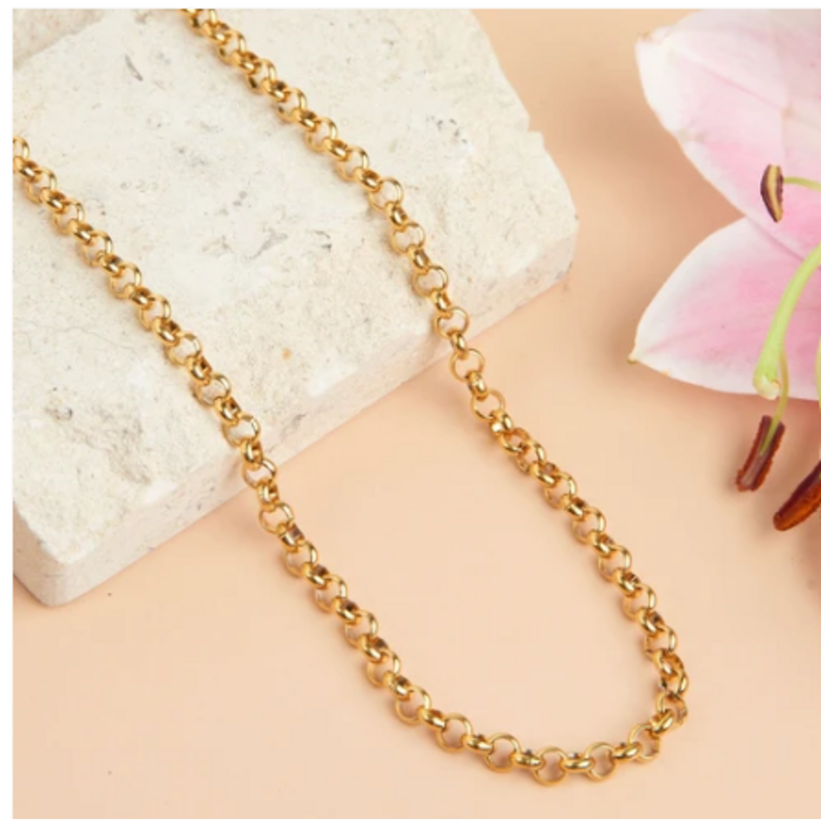 Howards Howard's Narelle Cable Chain Necklace Gold