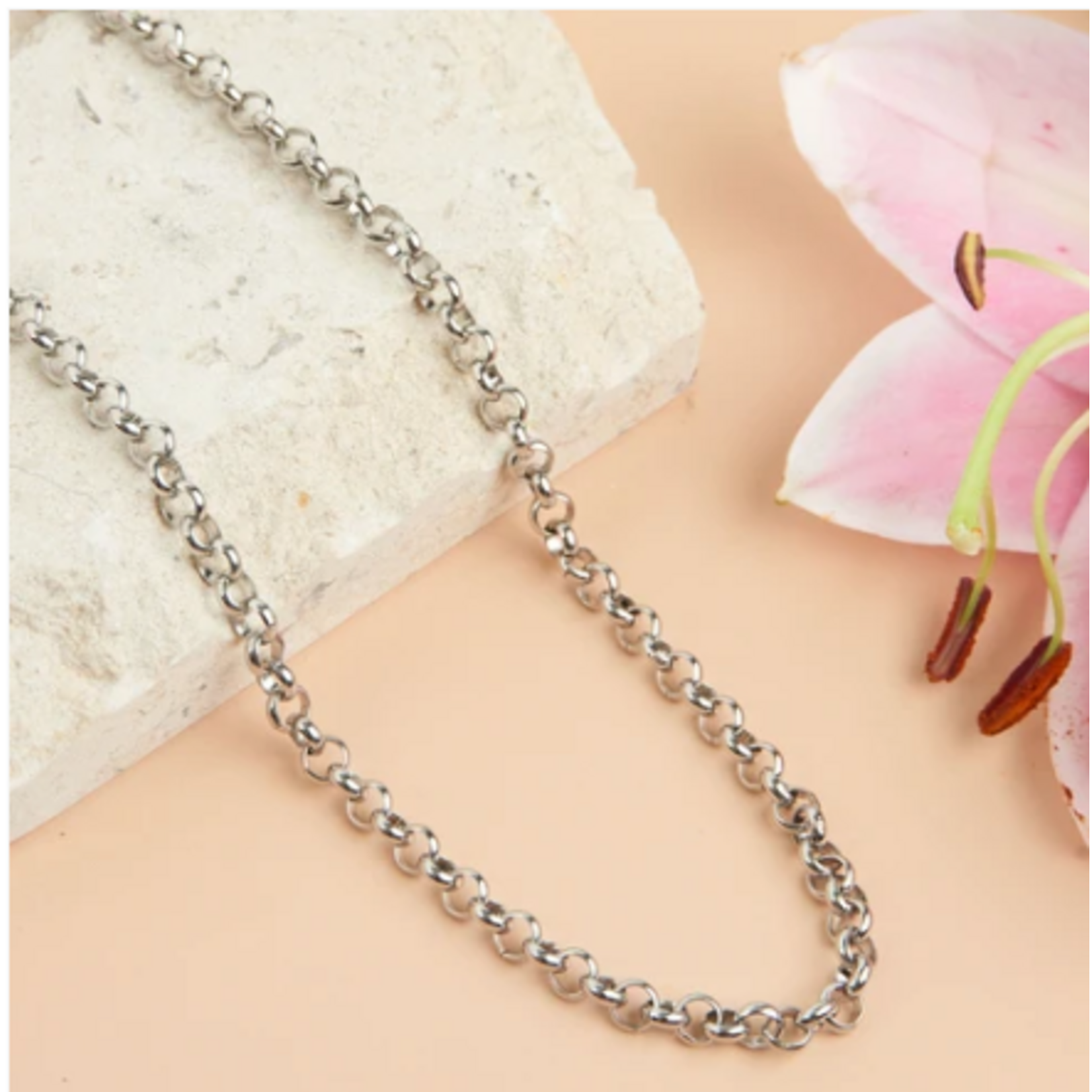 Howards Howard's Narelle Cable Chain Necklace Silver