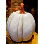 Wholesale Home Decor White Pumpkin 8x10