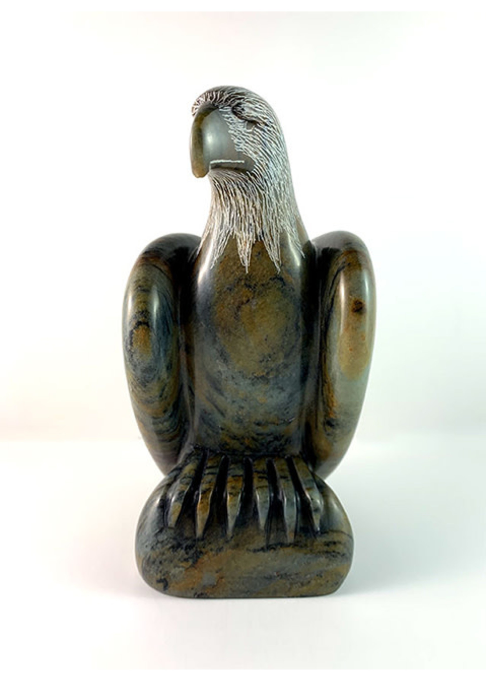 Soapstone Carving Kits: Eagle