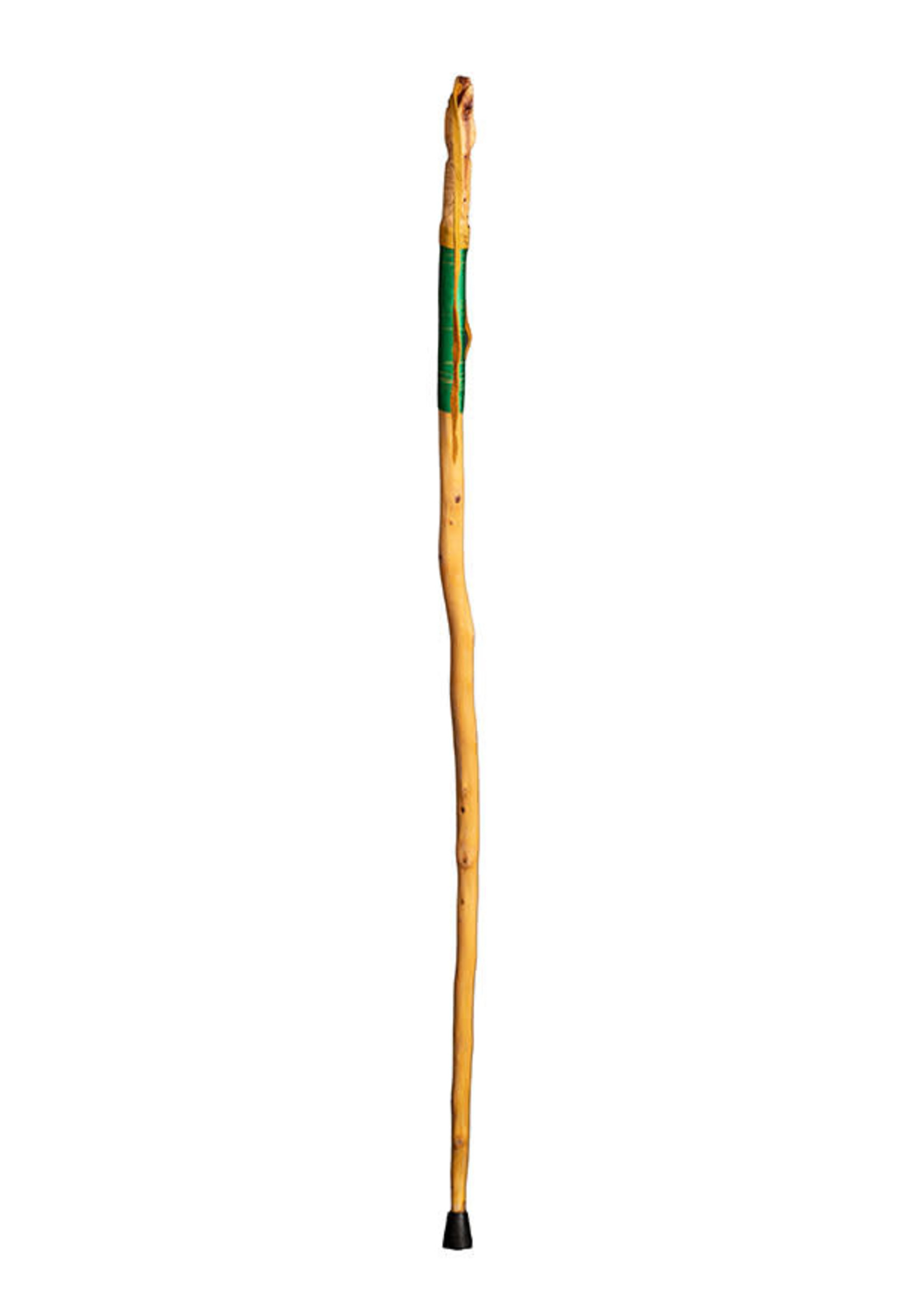 Walking Stick - Eagle Beak Up