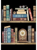 Bug Art Bookshelves