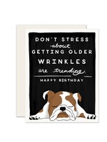 Slightly Stationery Wrinkles English Bulldog