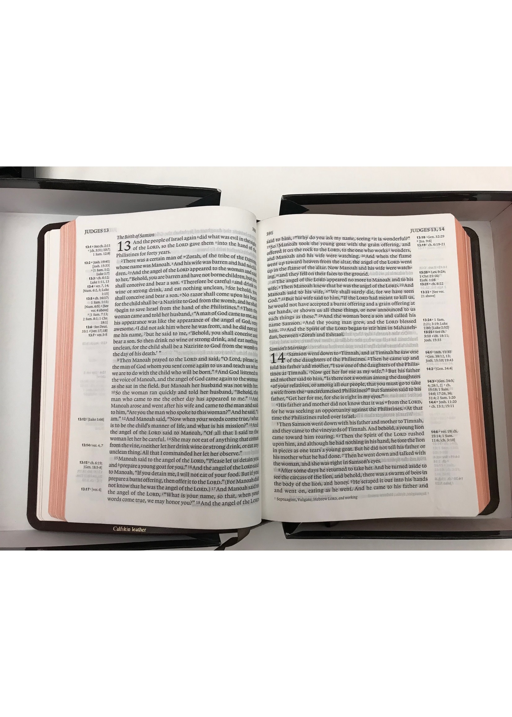 ESV Clarion Reference Bible