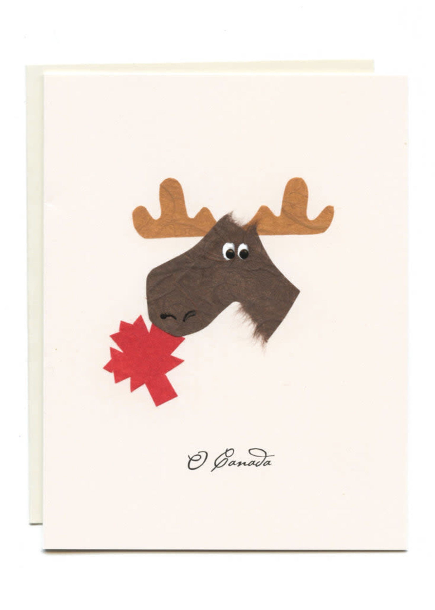 Flaunt Canada Moose