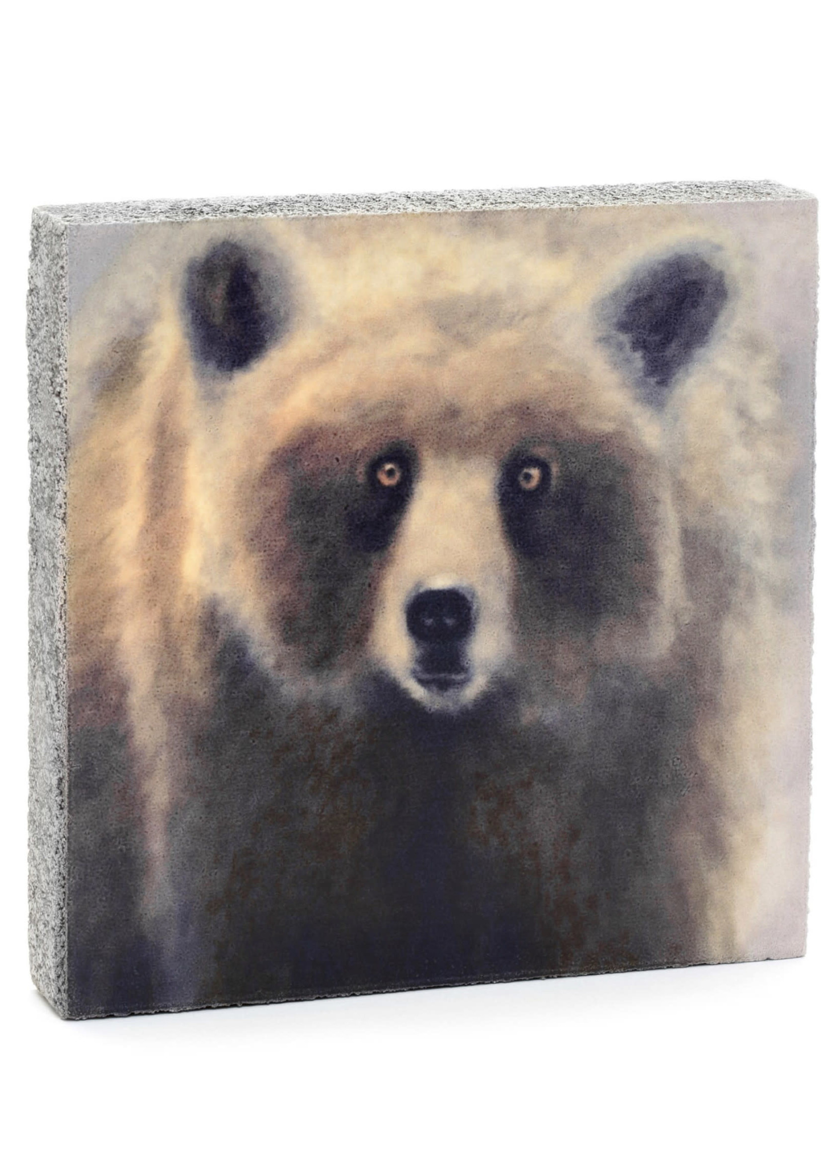Cedar Mountain Studios Brown Bear Art Block