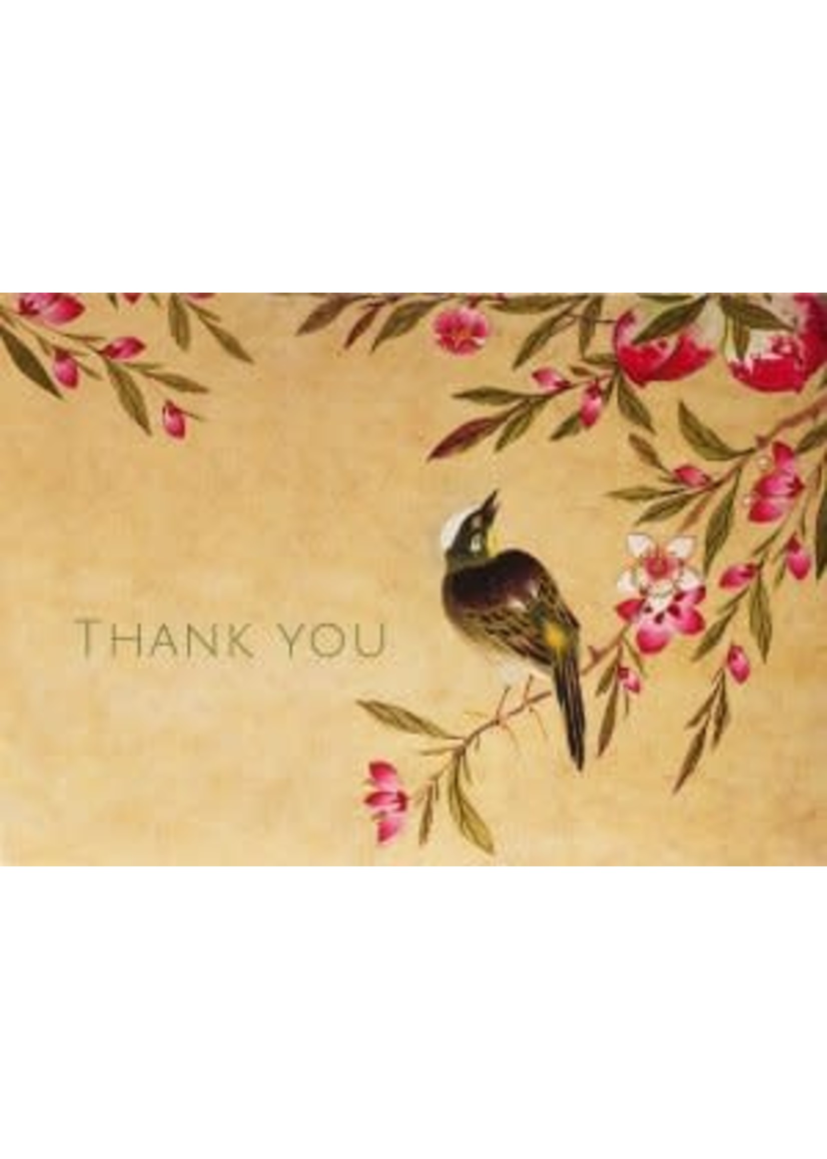 Peter Pauper Press Boxed Gold Thank You Cards: Peach Blossoms