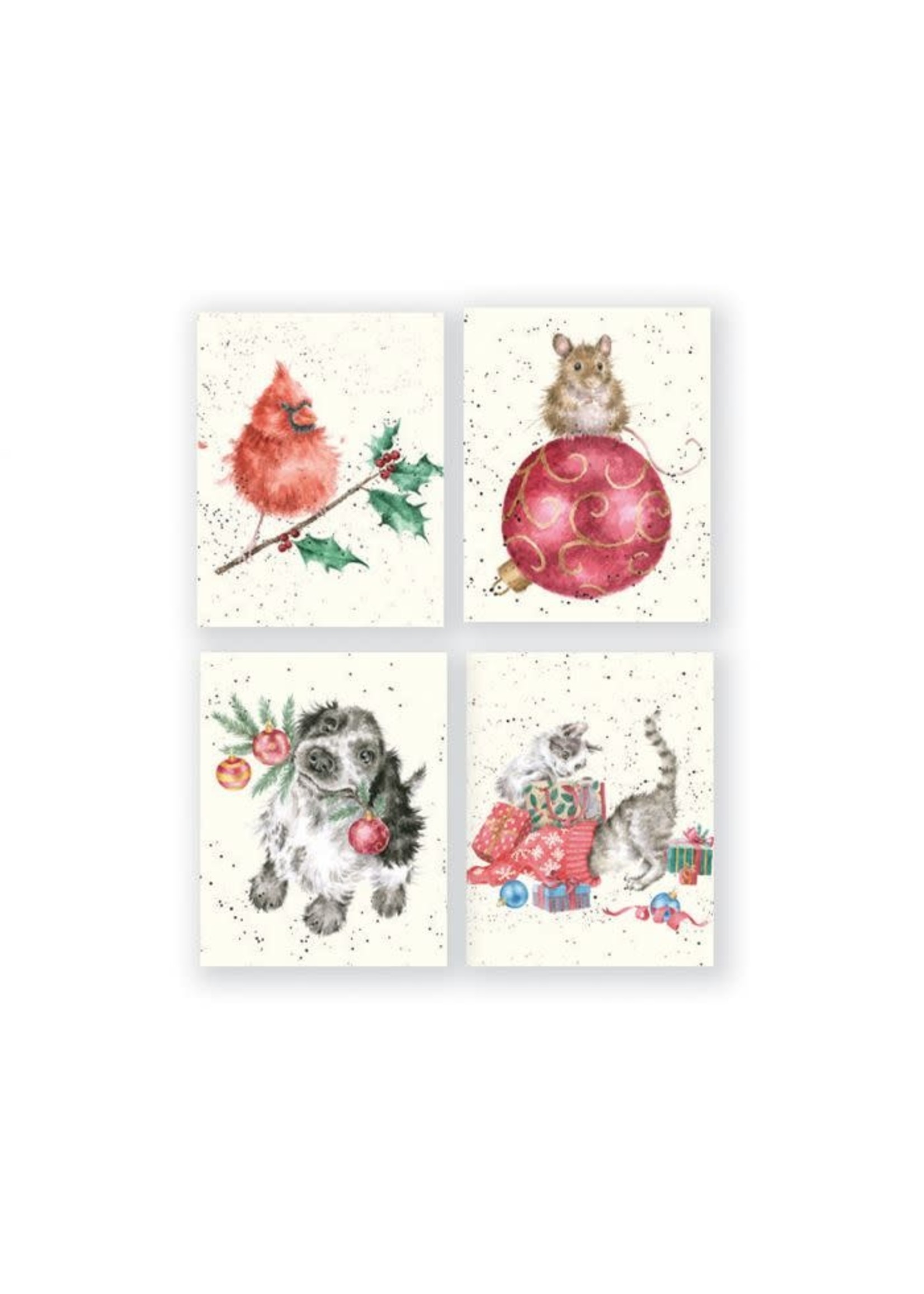 Wrendale Designs Cardinal Bird Mouse Dog Cat Charity Mini Boxed Cardsardinal Bird Mouse Dog Cat Charity Mini Boxed Card