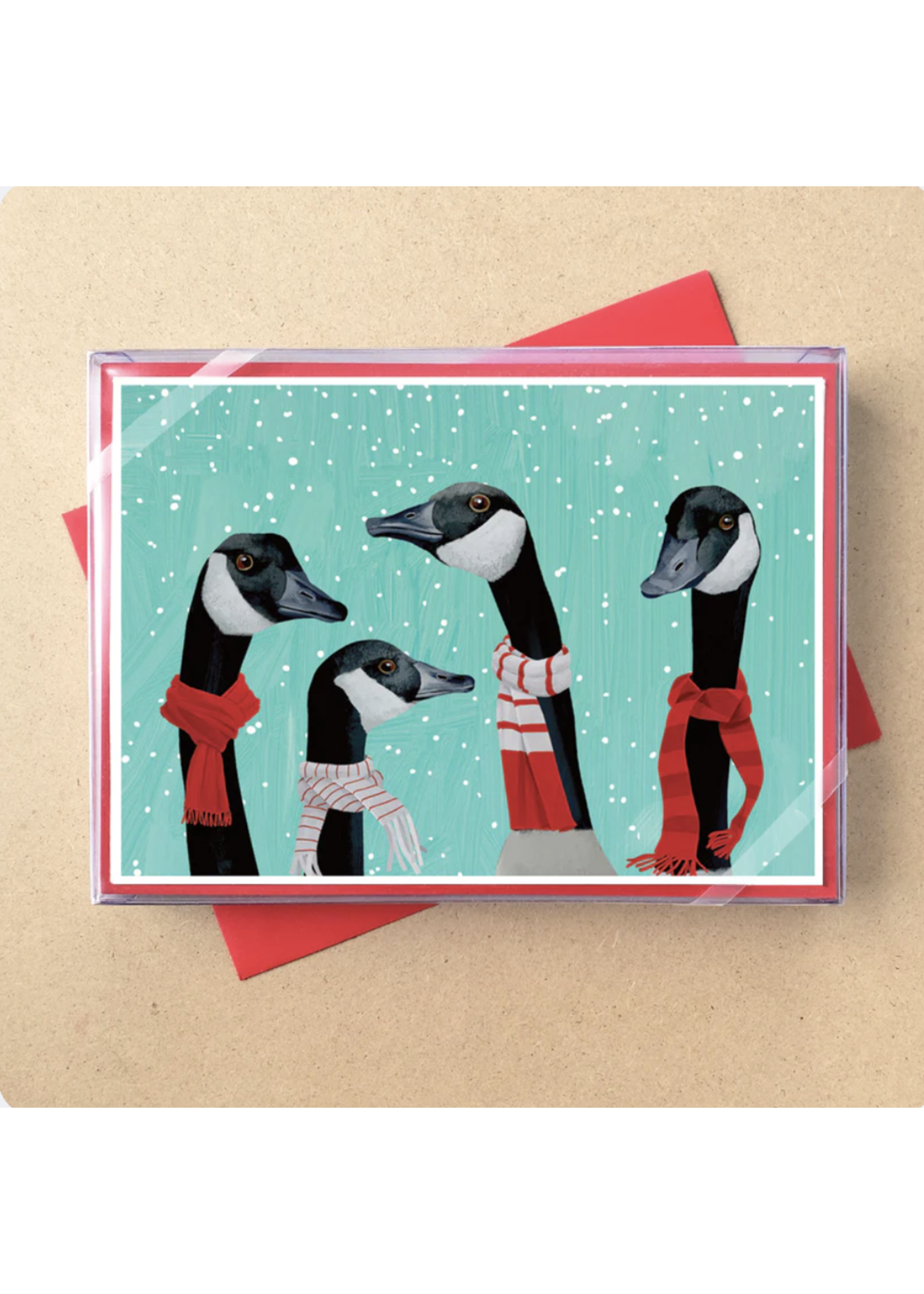 Allport Editions Cosy Geese 12 Cards Box Set