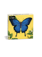 Museums & Galleries Notecards Ulysses Butterfly