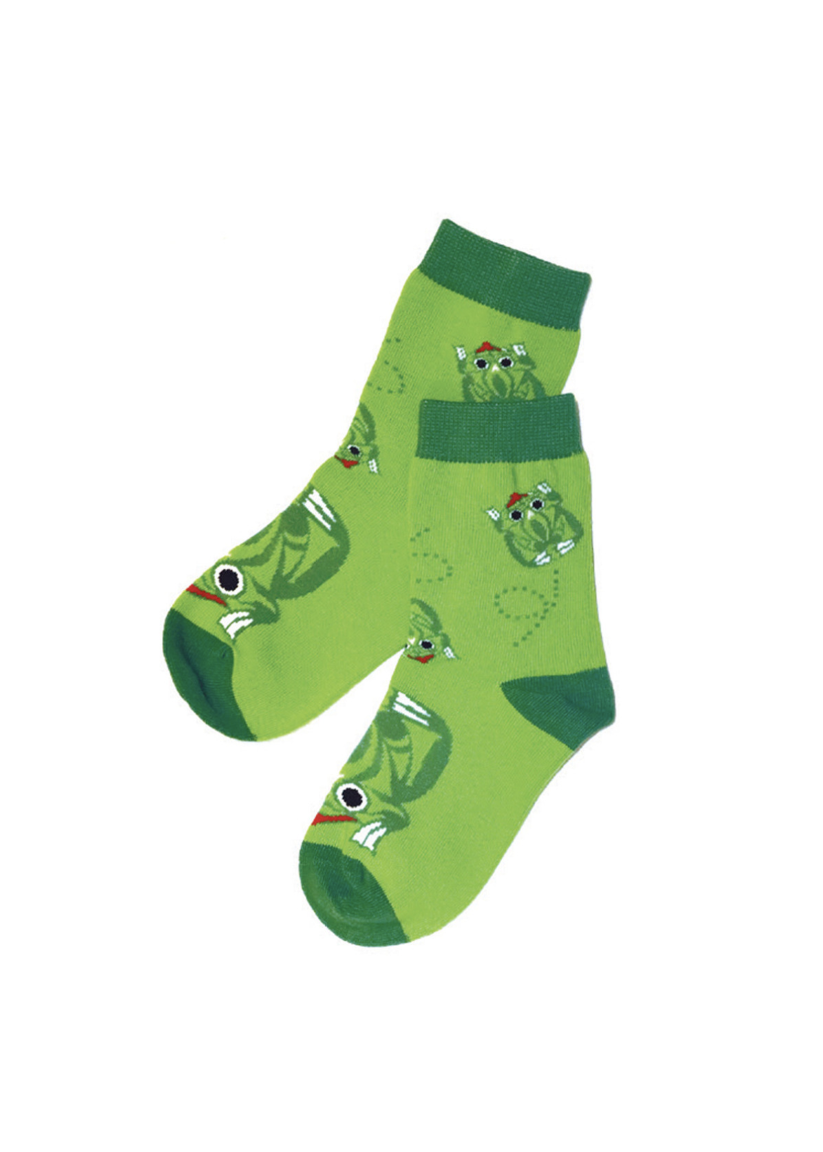 Native Northwest Kids Socks Frog by Maynard Johnny Jr M-L