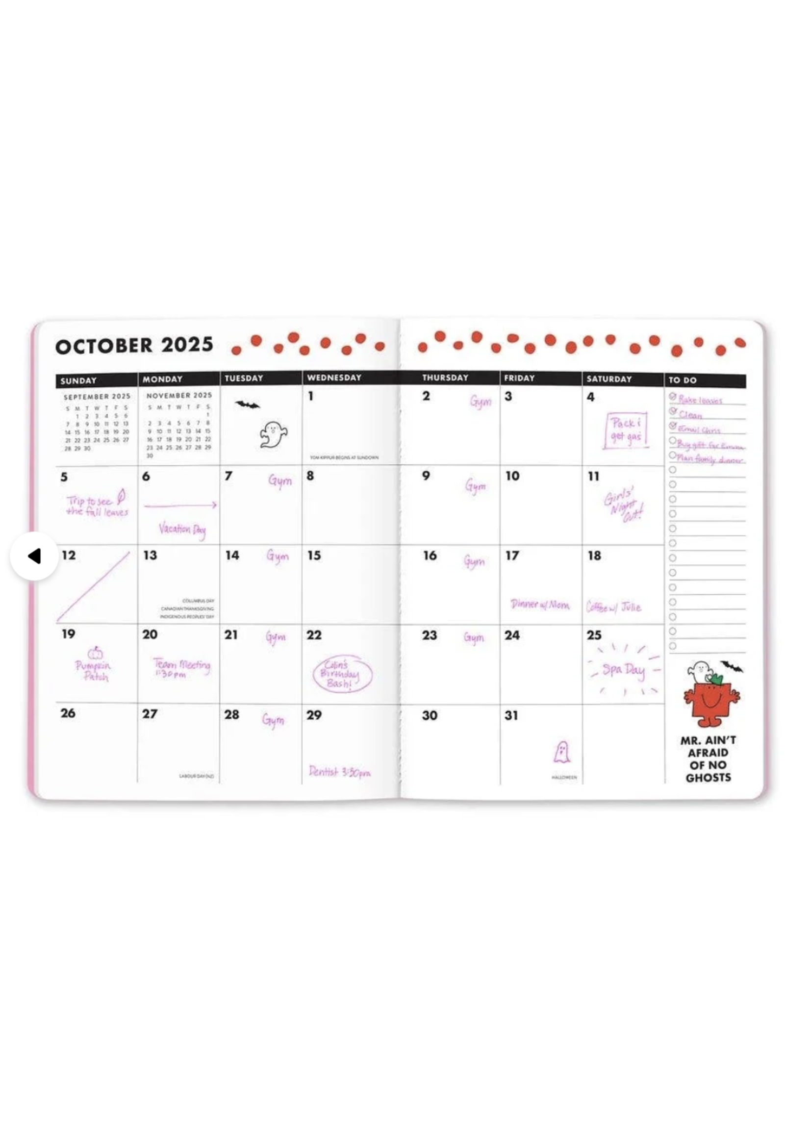 Studio Oh! Little Miss Organized 2025 Monthly Planner