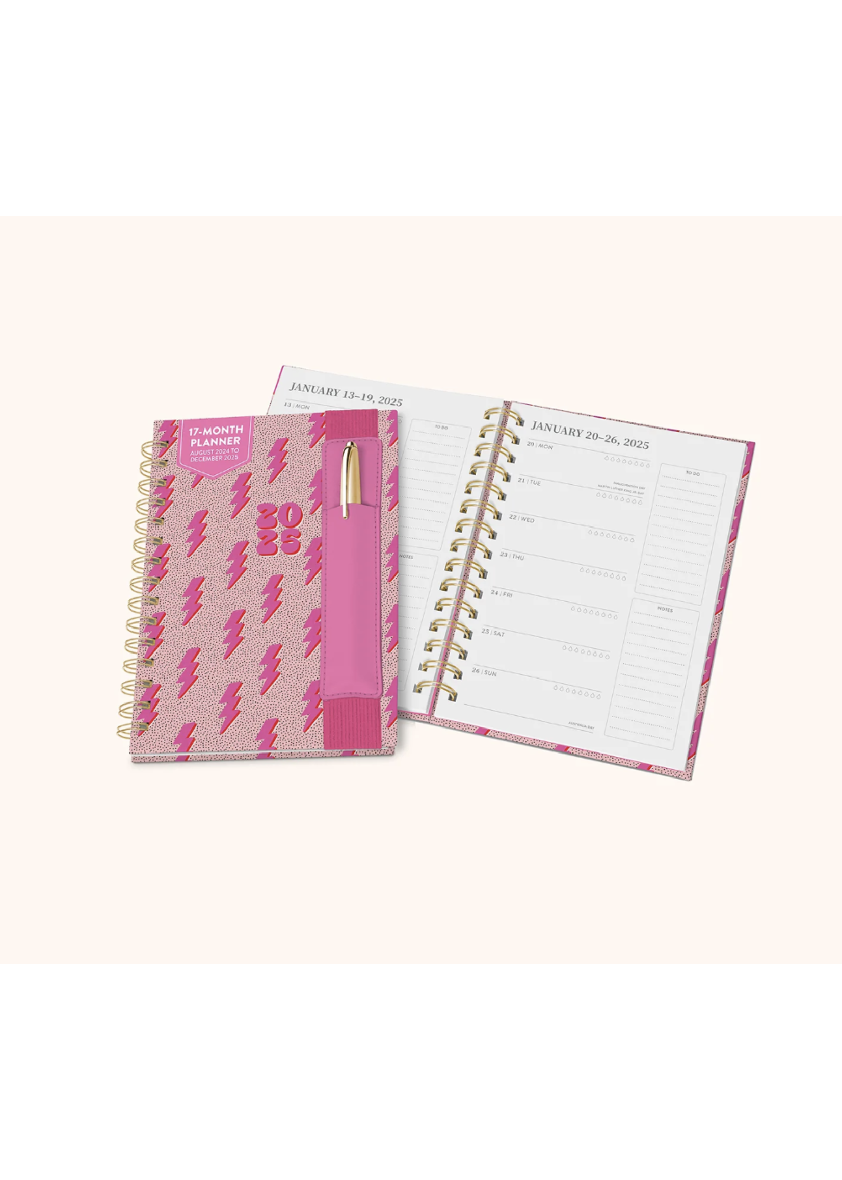 Studio Oh! Charged Up Oliver 2025 Monthly Planner