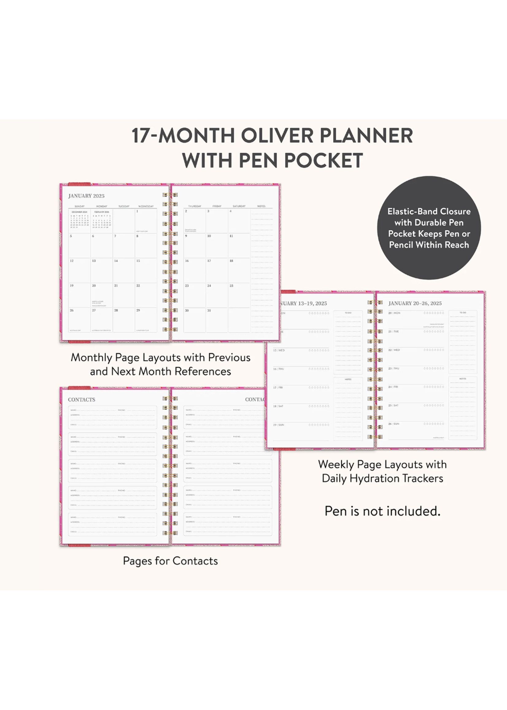 Studio Oh! Charged Up Oliver 2025 Monthly Planner
