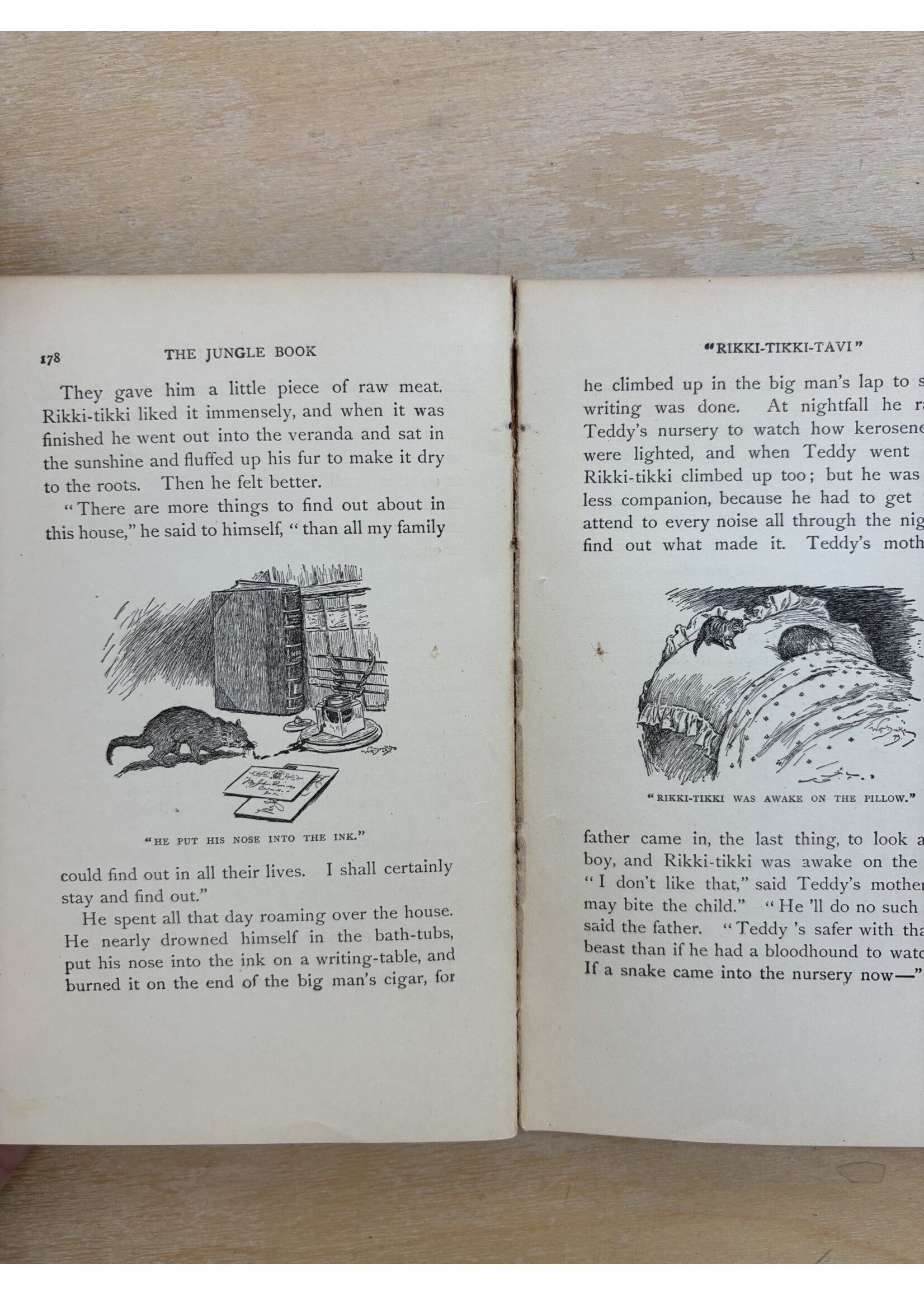 The Jungle Book by Rudyard Kipling 1921 (Online)