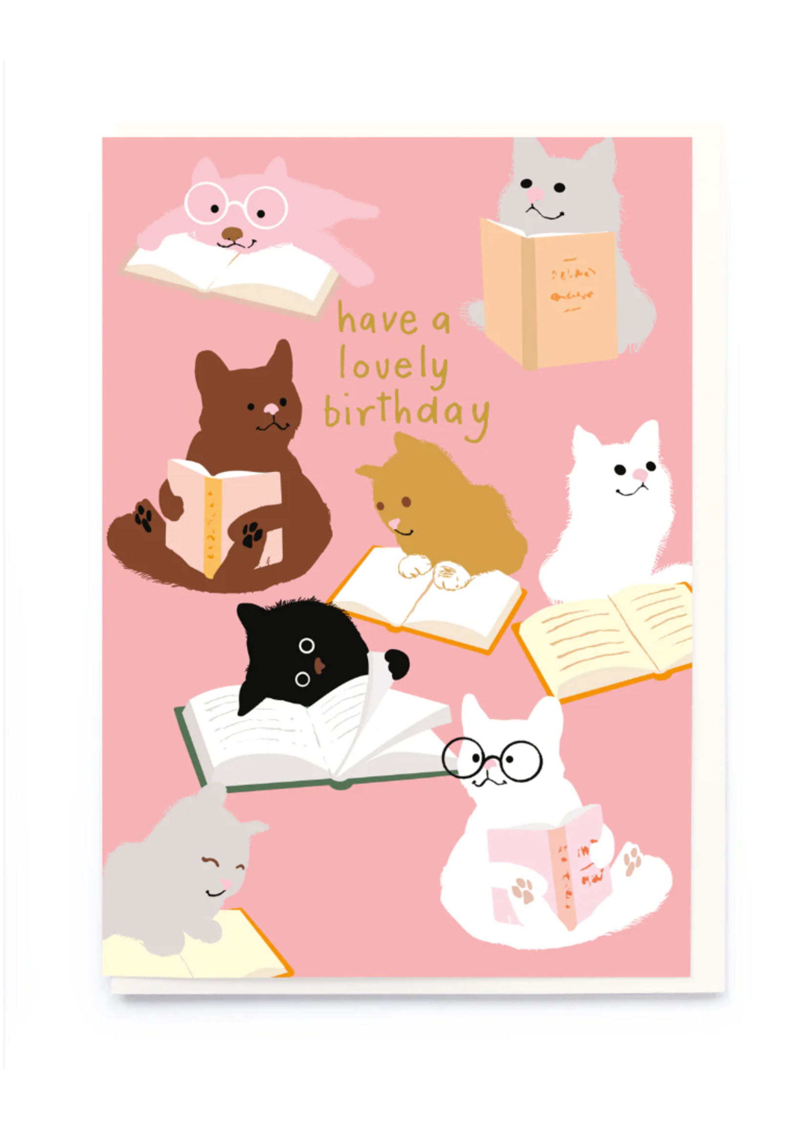 Noi Publishing Cats Reading Lovely Birthday