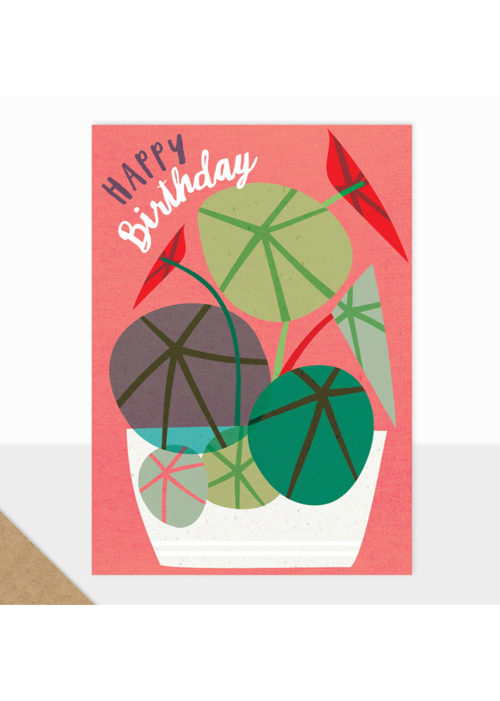 Laura Darrington Design Happy Birthday Plants