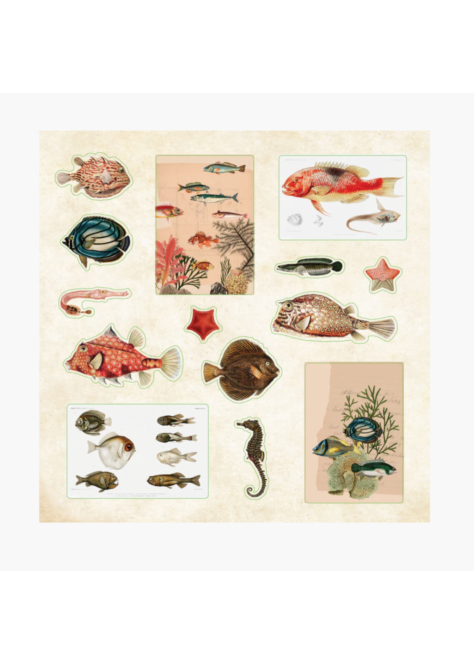 Peter Pauper Press Poseidons Kingdom Sticker Book