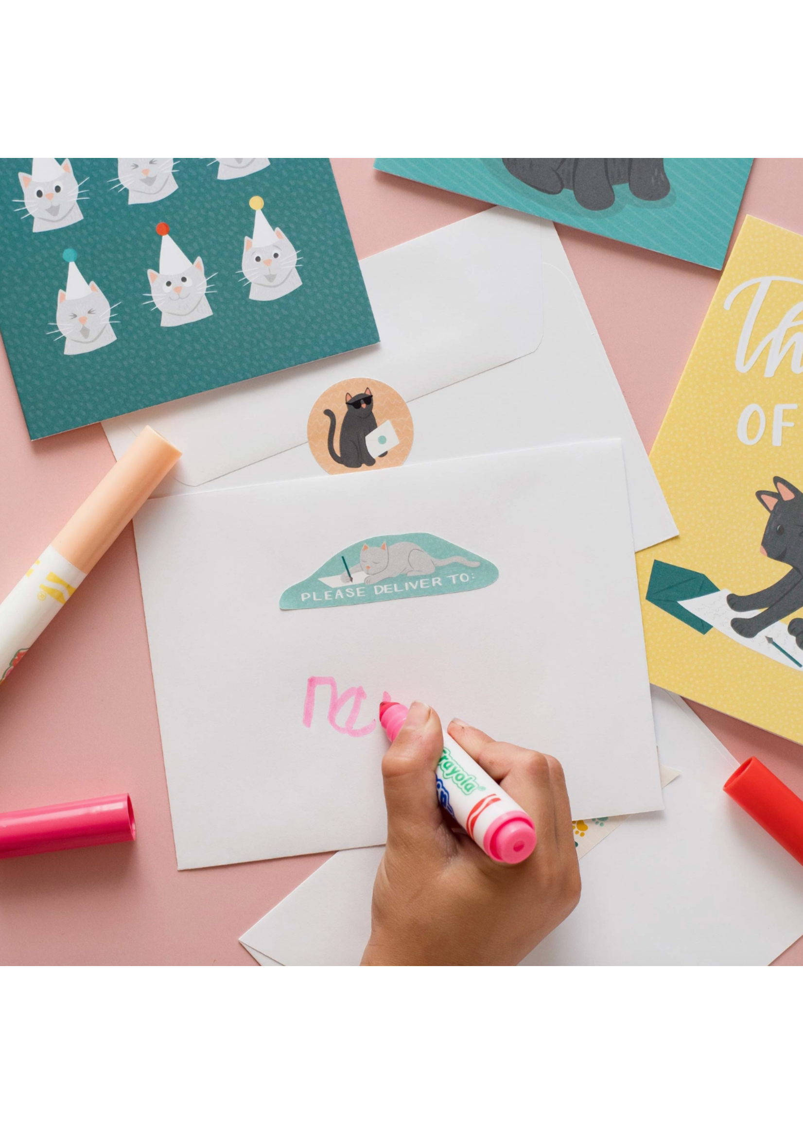 Pedaller Designs Cat Hey There Stationery Set