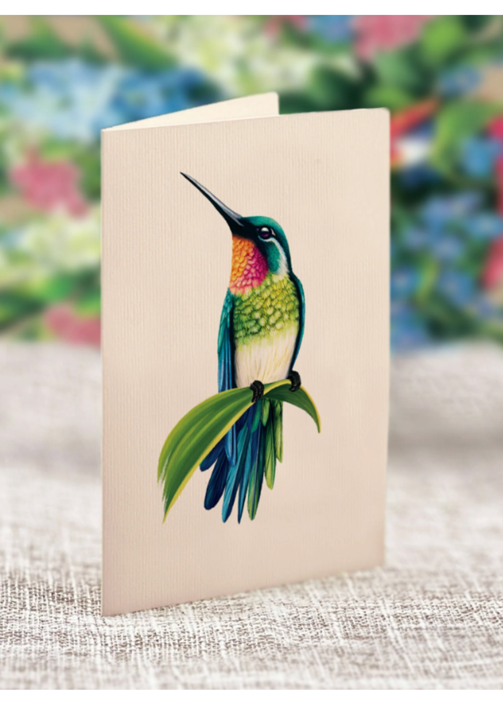 Fresh Cut Paper Hummingbird Oasis Pop Up Flower Bouquet