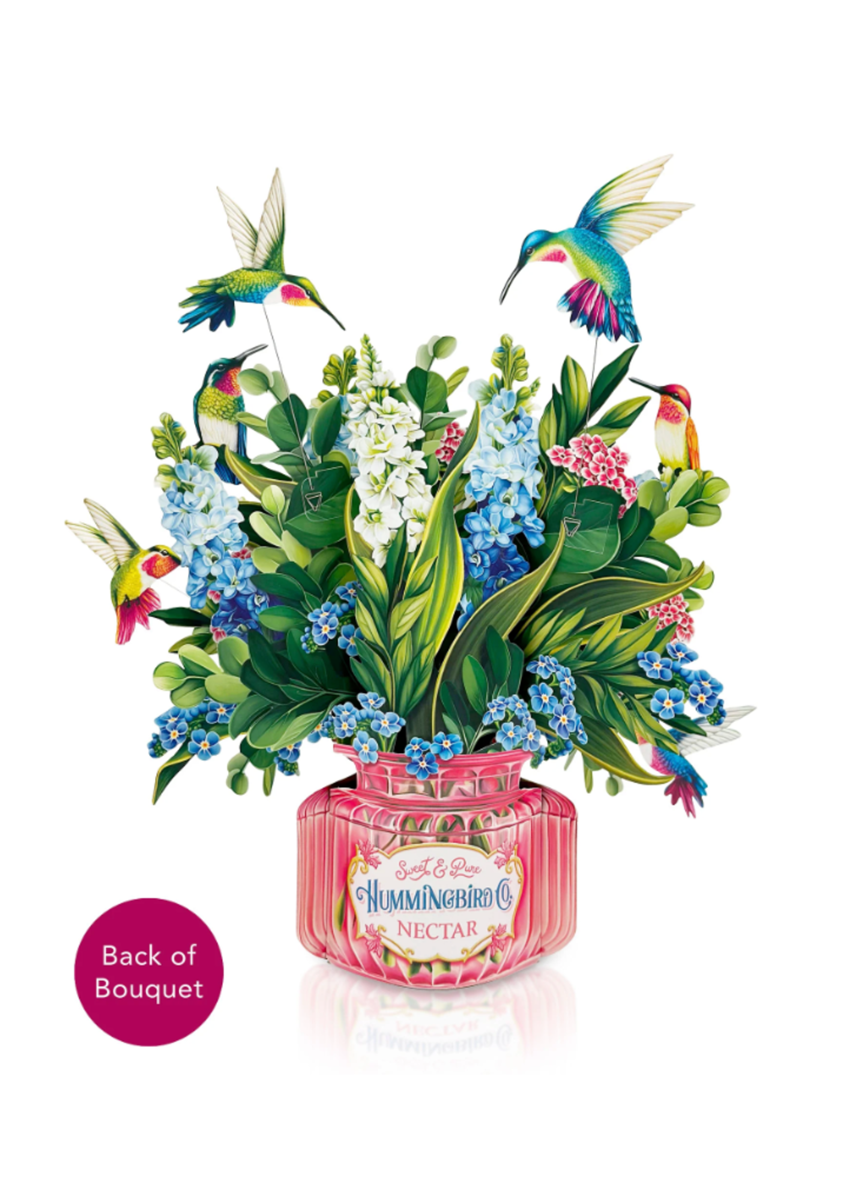 Fresh Cut Paper Hummingbird Oasis Pop Up Flower Bouquet