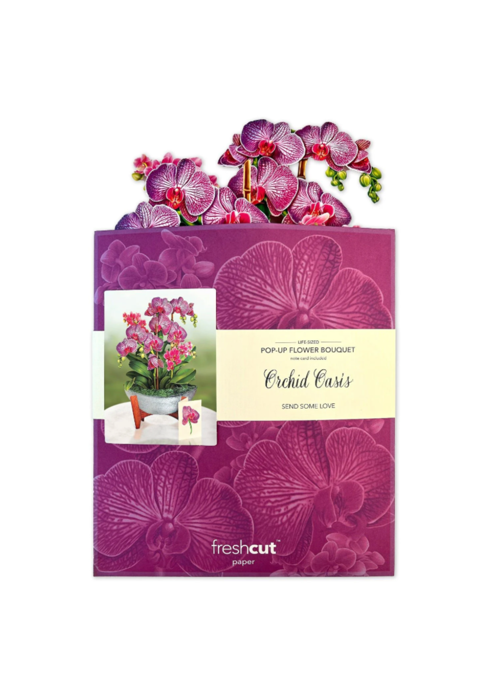 Fresh Cut Paper Orchid Oasis Pop Up Flower Bouquet