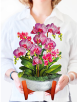 Fresh Cut Paper Orchid Oasis Pop Up Flower Bouquet