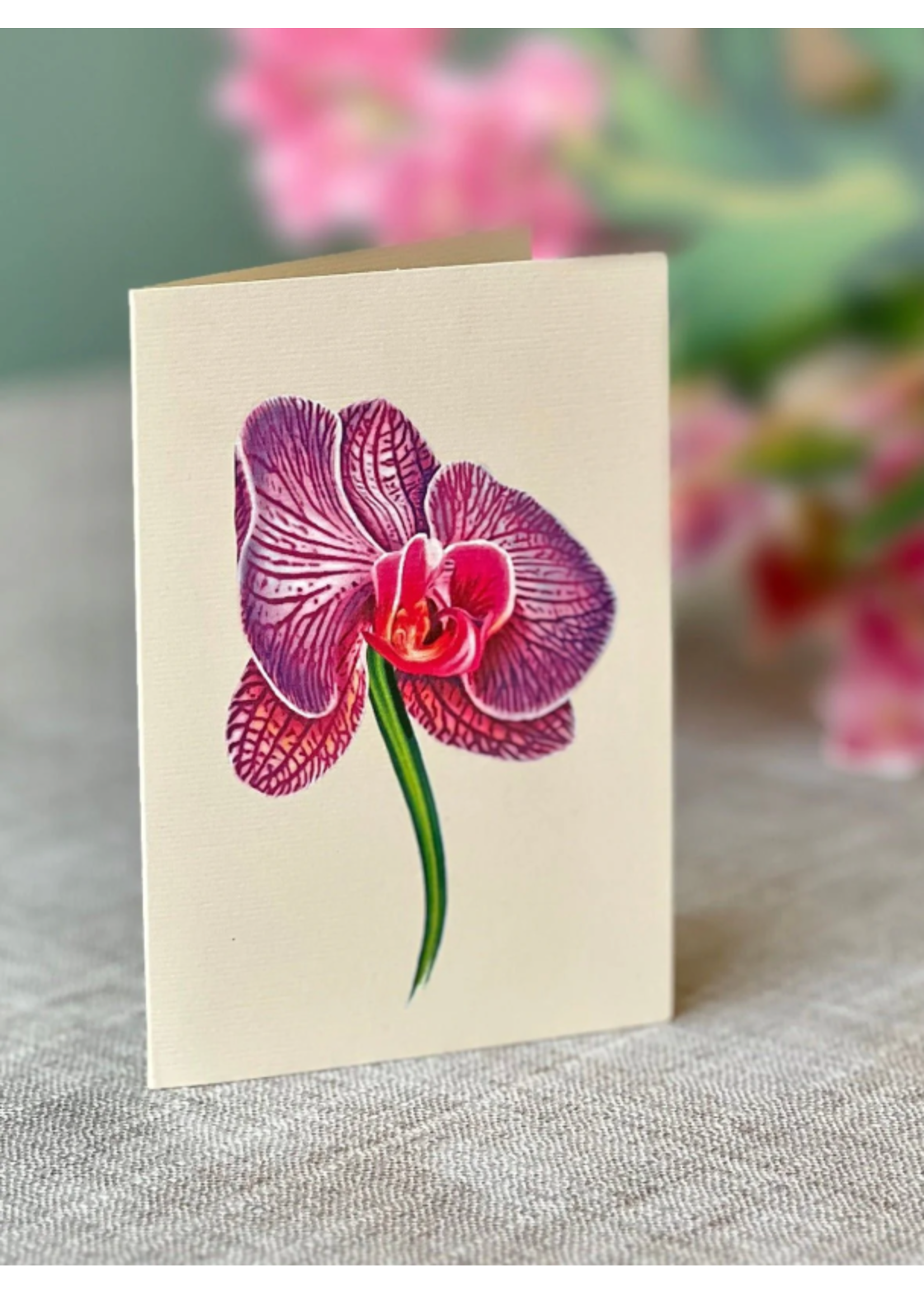 Fresh Cut Paper Orchid Oasis Pop Up Flower Bouquet