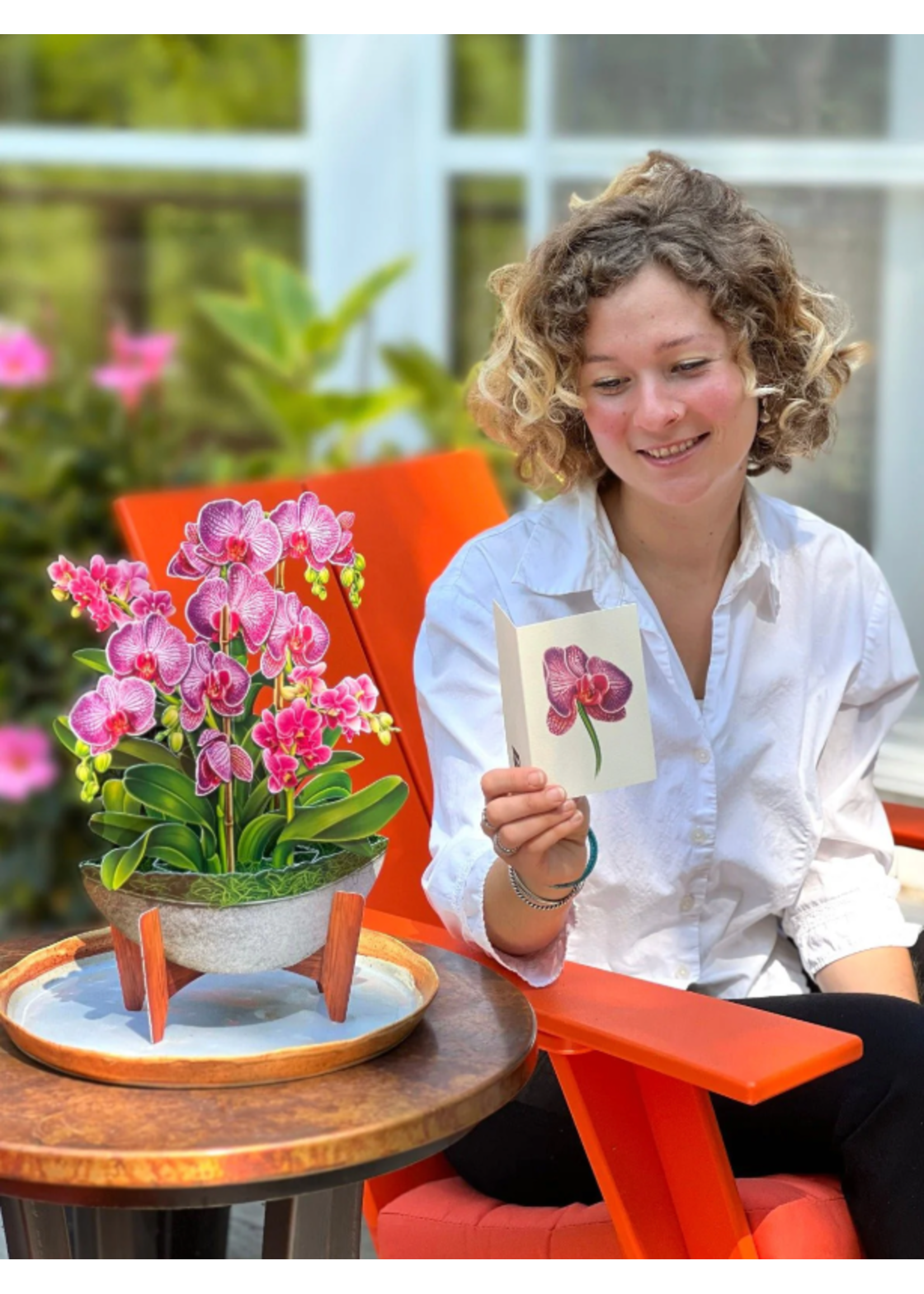 Fresh Cut Paper Orchid Oasis Pop Up Flower Bouquet