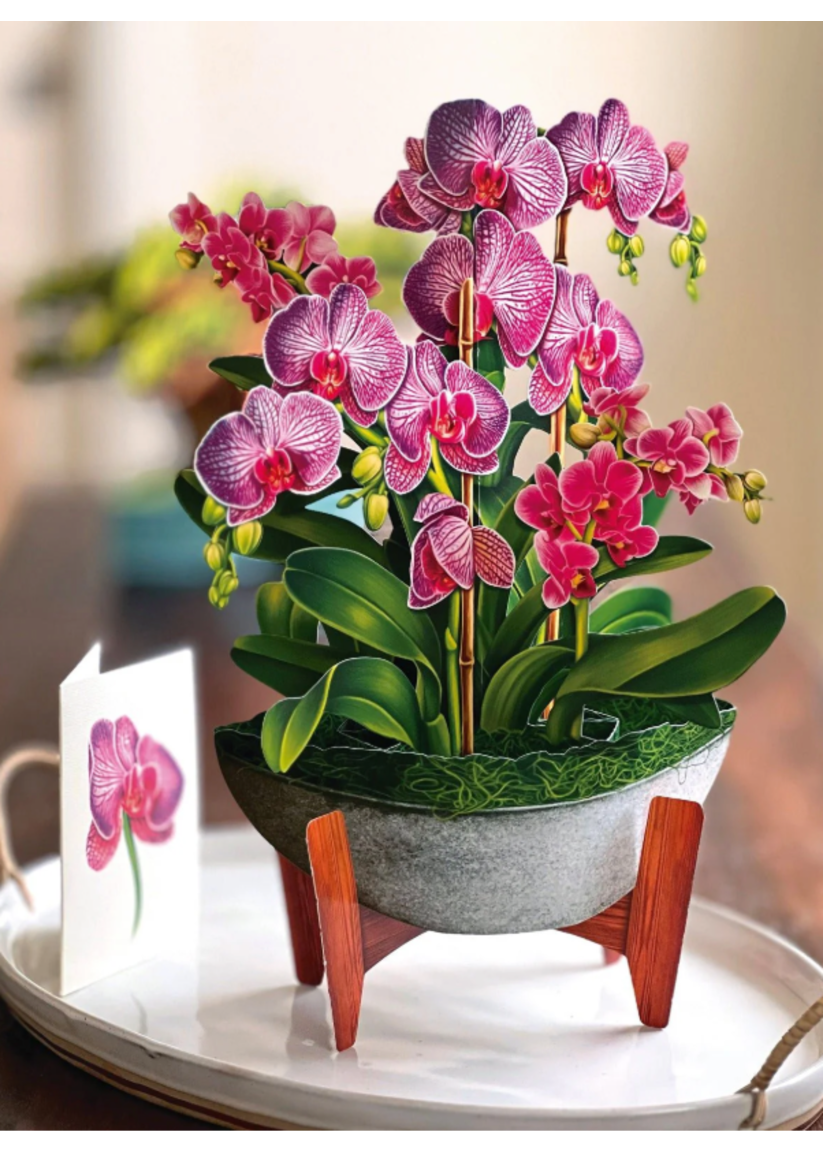Fresh Cut Paper Orchid Oasis Pop Up Flower Bouquet