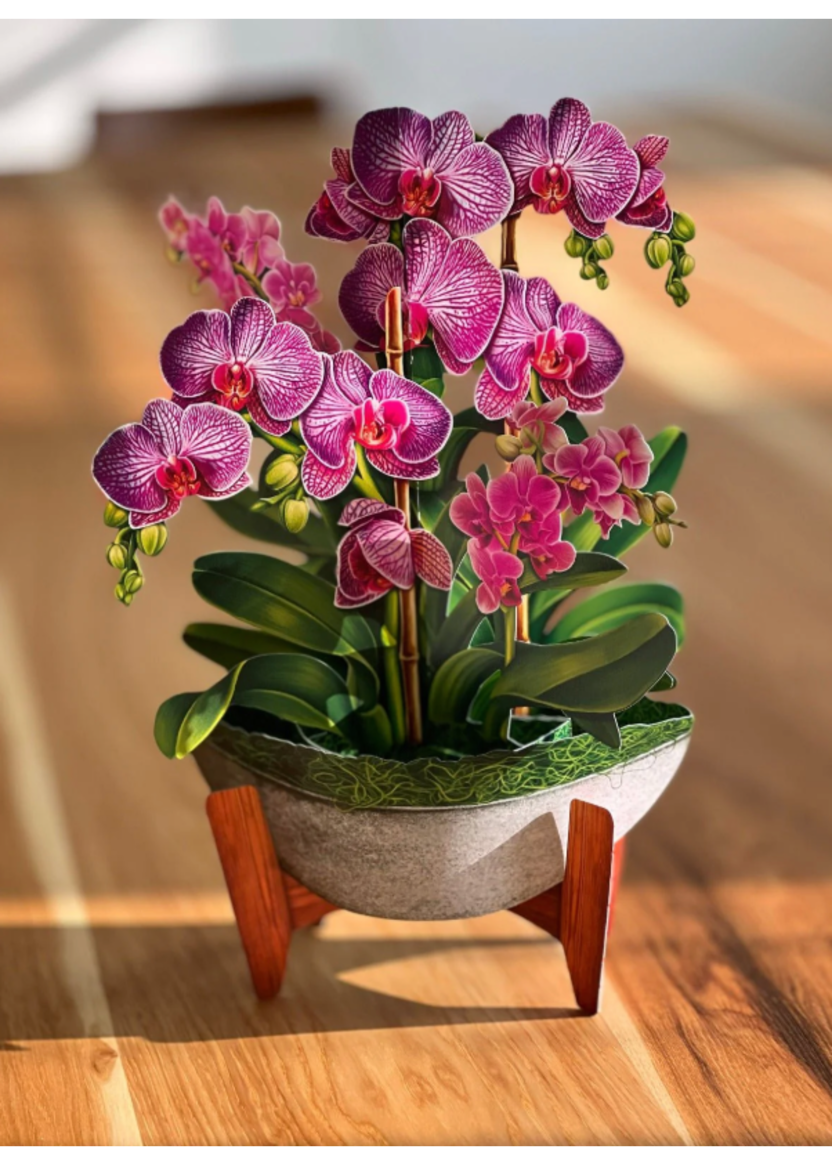 Fresh Cut Paper Orchid Oasis Pop Up Flower Bouquet
