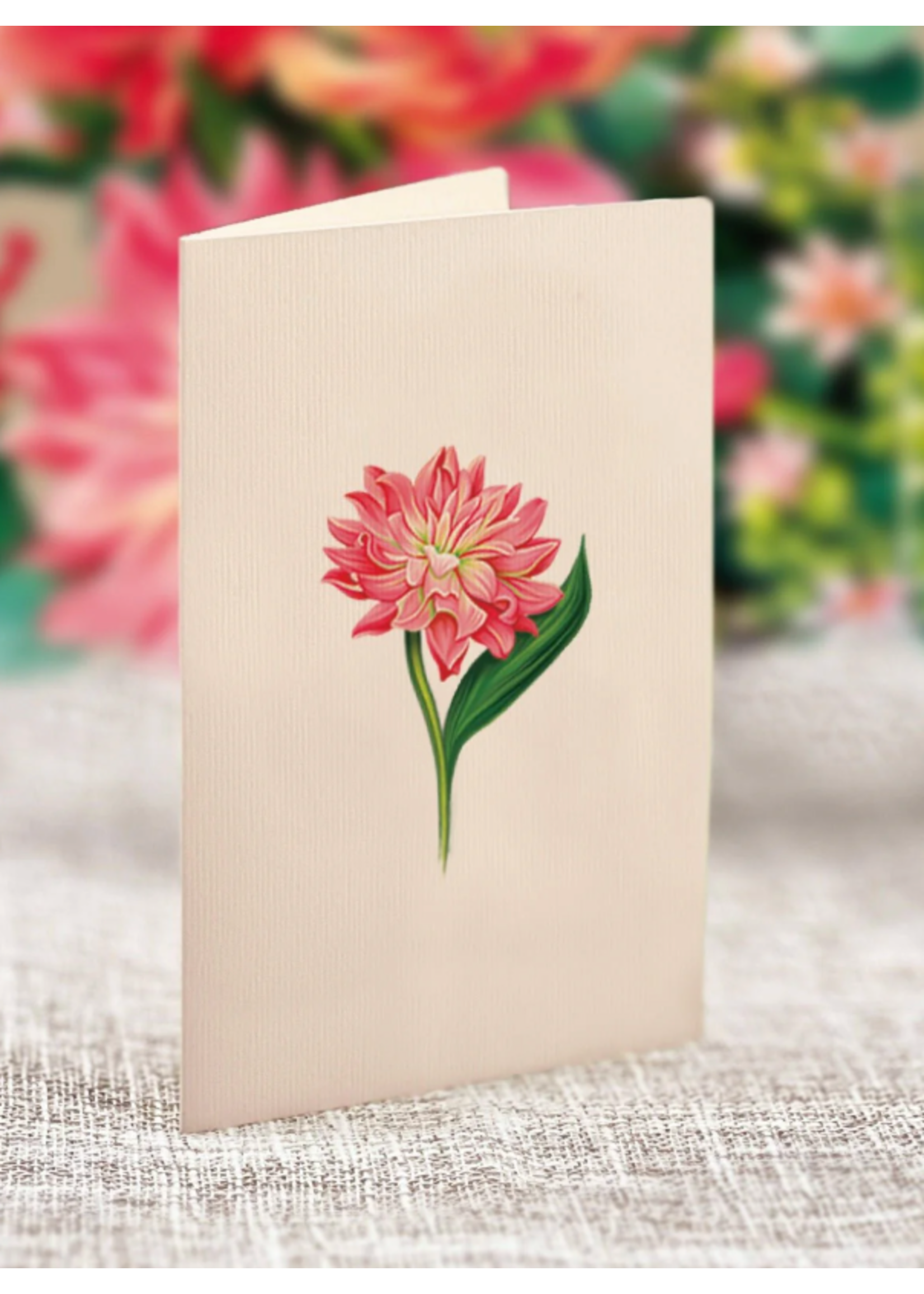 Fresh Cut Paper Dear Dahlia Mini Pop Up Flower Bouquet
