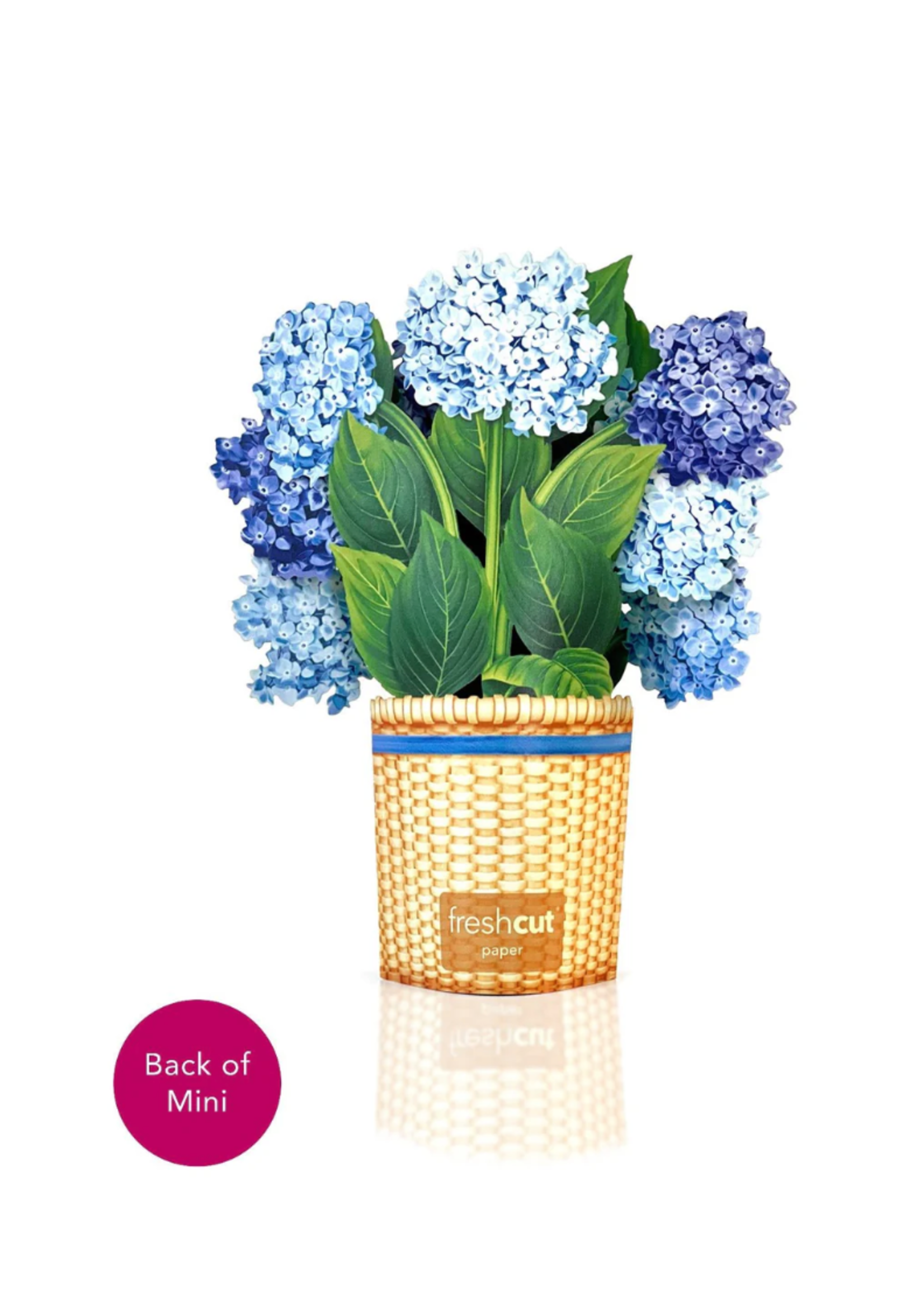 Fresh Cut Paper Nantucket Hydrangeas Mini Pop Up Flower Bouquet
