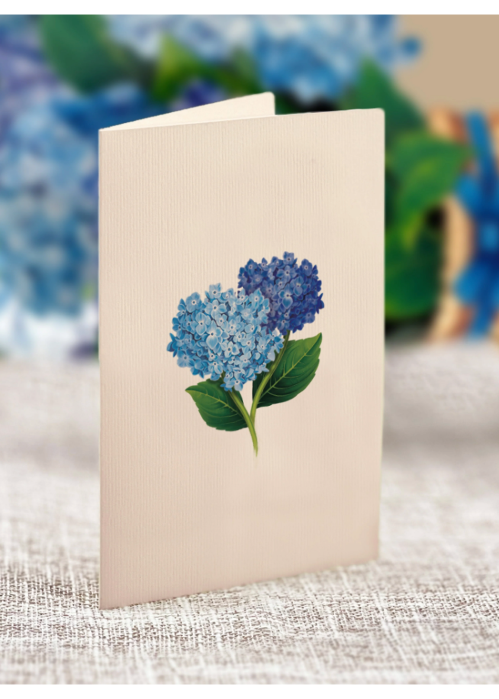 Fresh Cut Paper Nantucket Hydrangeas Mini Pop Up Flower Bouquet