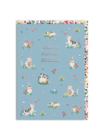 Ohh Deer Cath Kidston Purrfect Birthday Kittens